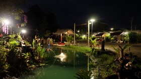 Check-in Resort