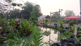 Check-in Resort