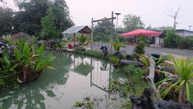 Check-in Resort