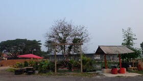 Check-in Resort