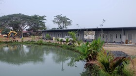 Check-in Resort