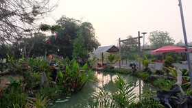 Check-in Resort
