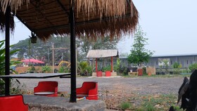 Check-in Resort