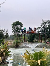Check-in Resort