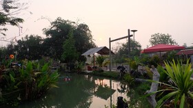 Check-in Resort