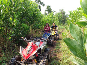 Ban Suan Lung Chaluay Fruit Resort