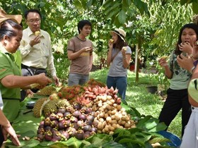 Ban Suan Lung Chaluay Fruit Resort