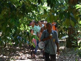 Ban Suan Lung Chaluay Fruit Resort