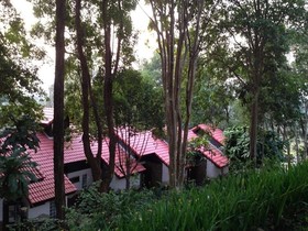 Rabbiz Hill Resort