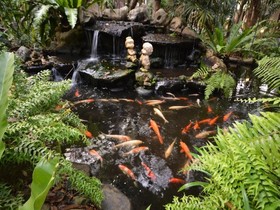Sabydee Resort