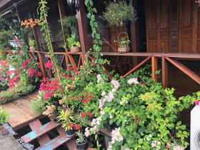Maa Damnoen B&B