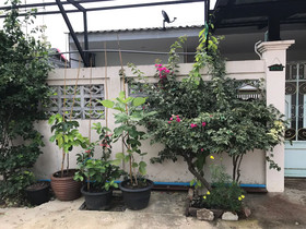 Maa Damnoen B&B