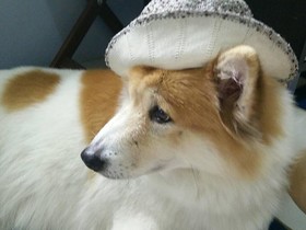 Baan Raisooksangchan