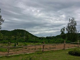 Baan Raisooksangchan
