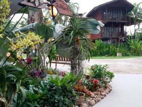 Kaengkrachan Boathouse Paradise Resort