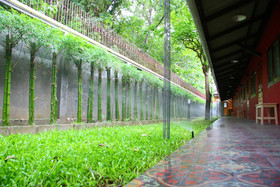 Baan Ma Feung GuestHouse