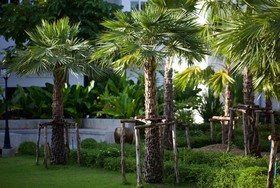 Chez Bure-Bure Homestay