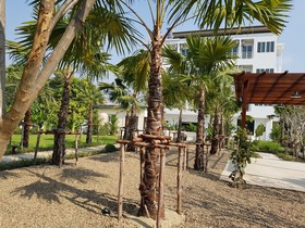 Chez Bure-Bure Homestay