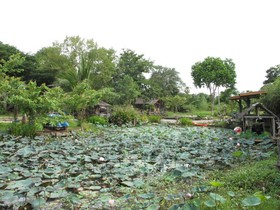 Cave Cliff Tarzan River Kwai Resort