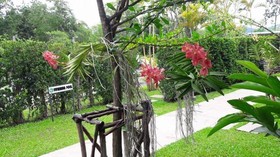 Kanvela Resort