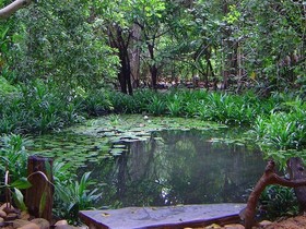 Mom Chailai Forest Retreat