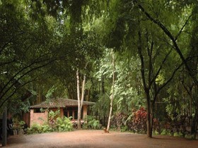 Mom Chailai Forest Retreat