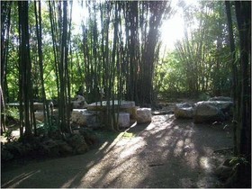 Mom Chailai Forest Retreat