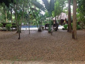 Tayan Resort and Spa