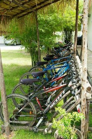 Mango Beach Resort