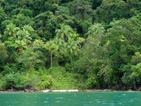 Mango Beach Resort