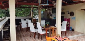 Coconut Garden