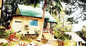 Coconut Garden