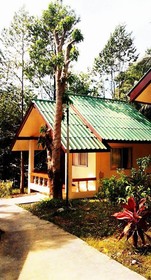 Coconut Garden