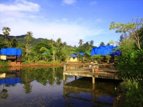 Ban Mae Resort