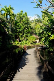 Centara Koh Chang Tropicana Resort