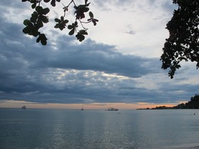 Flora I Talay