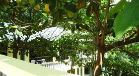 Island Lodge