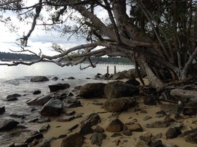 Janus Beach Inn