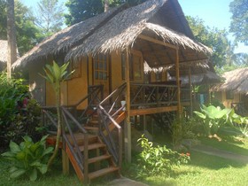 Jungle Garden