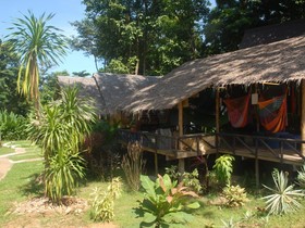Jungle Garden