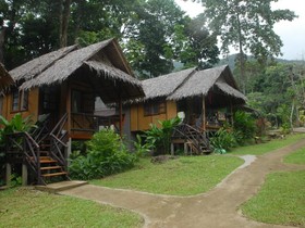 Jungle Garden