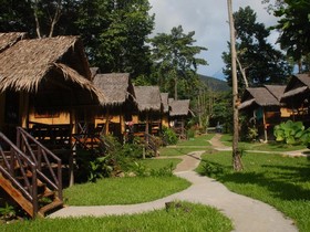Jungle Garden
