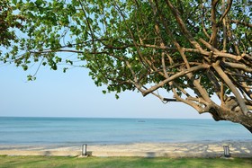 Kacha Resort & Spa