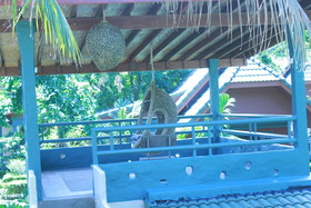 Kai Bae Beach Resort Koh Chang
