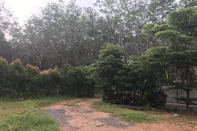Kun Garden Home