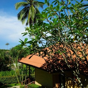 Paradise Bungalows