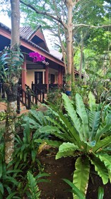 Penny's Resort