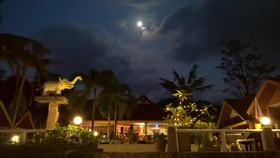 Penny's Resort