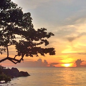 Saffron on the Sea Resort