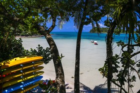 Sylvan Koh Chang
